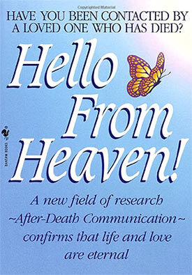 Hello From Heaven Book