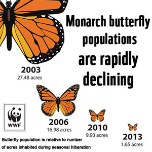World Wildlif Fund (WWF), monarch butterfly conservation