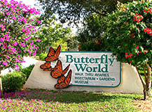 Butterfly Gardening Plants To Attract Butterflies Hummingbirds